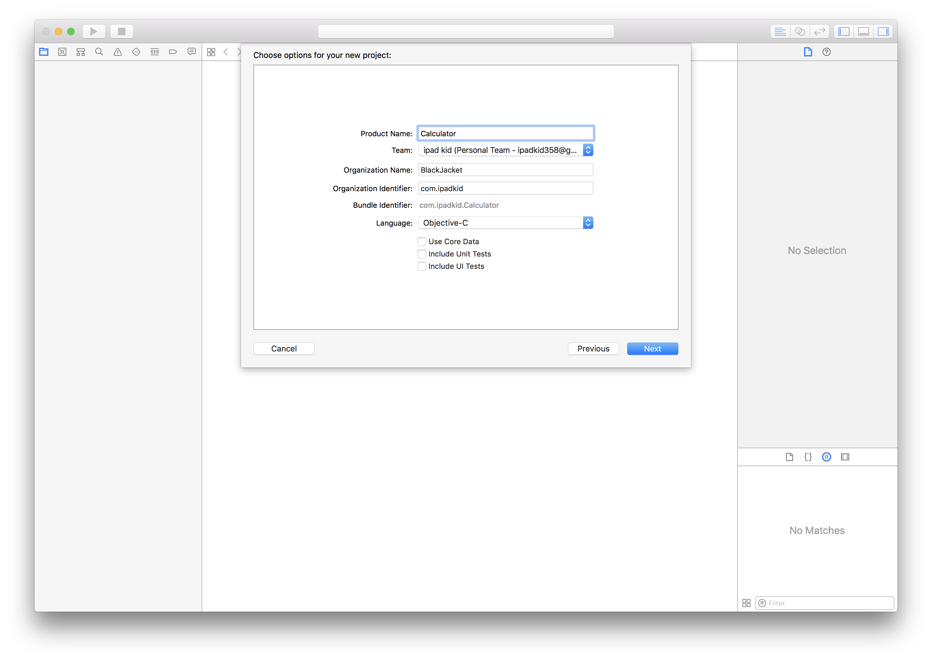 Xcode Main Project Window